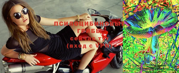 2c-b Алзамай