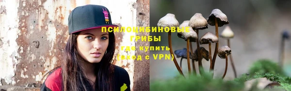 прущие грибы Алексеевка