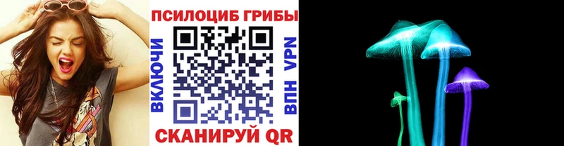Галлюциногенные грибы Psilocybine cubensis Тихвин